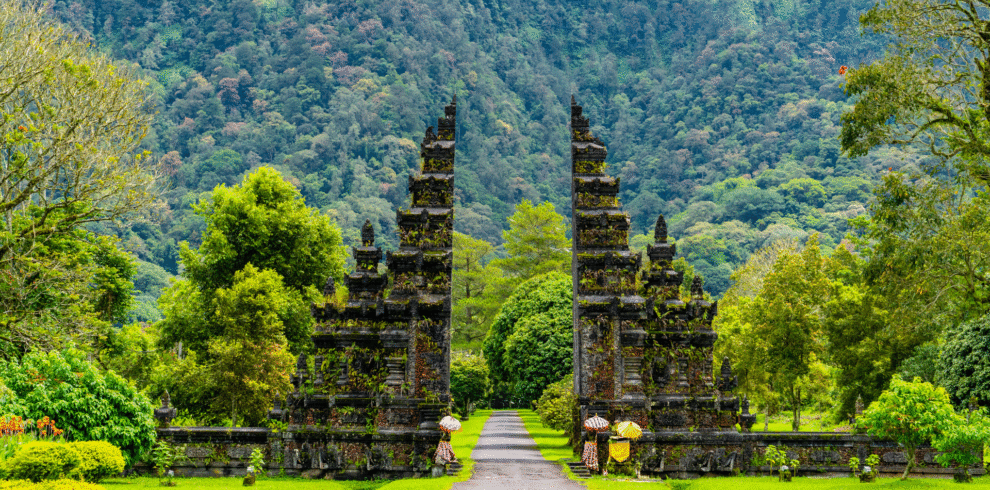 Bali Tour Package by KD Travels