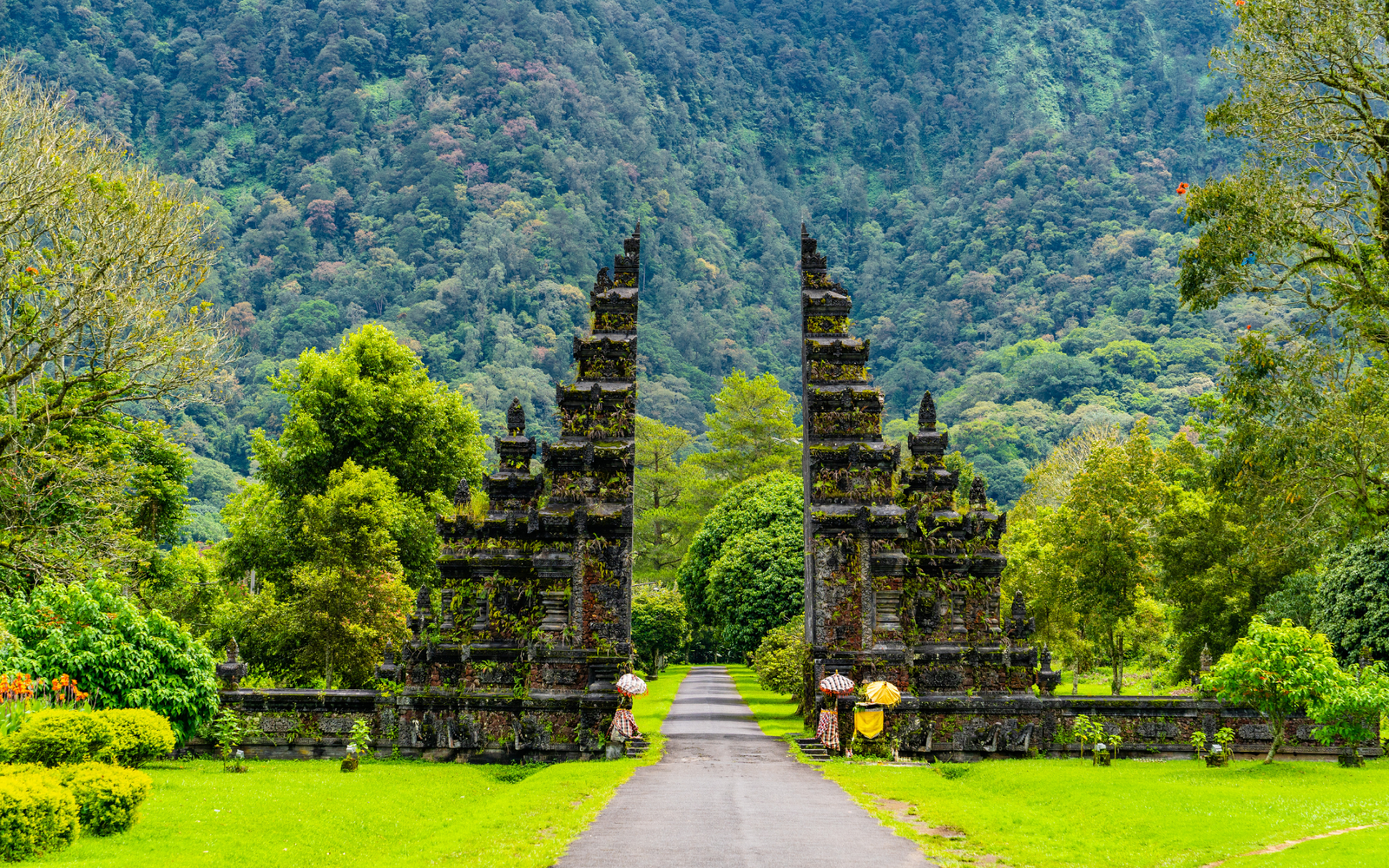 Bali Tour Package by KD Travels