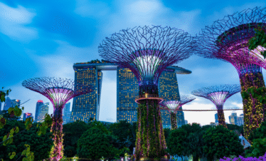 Singapore - Night Safari