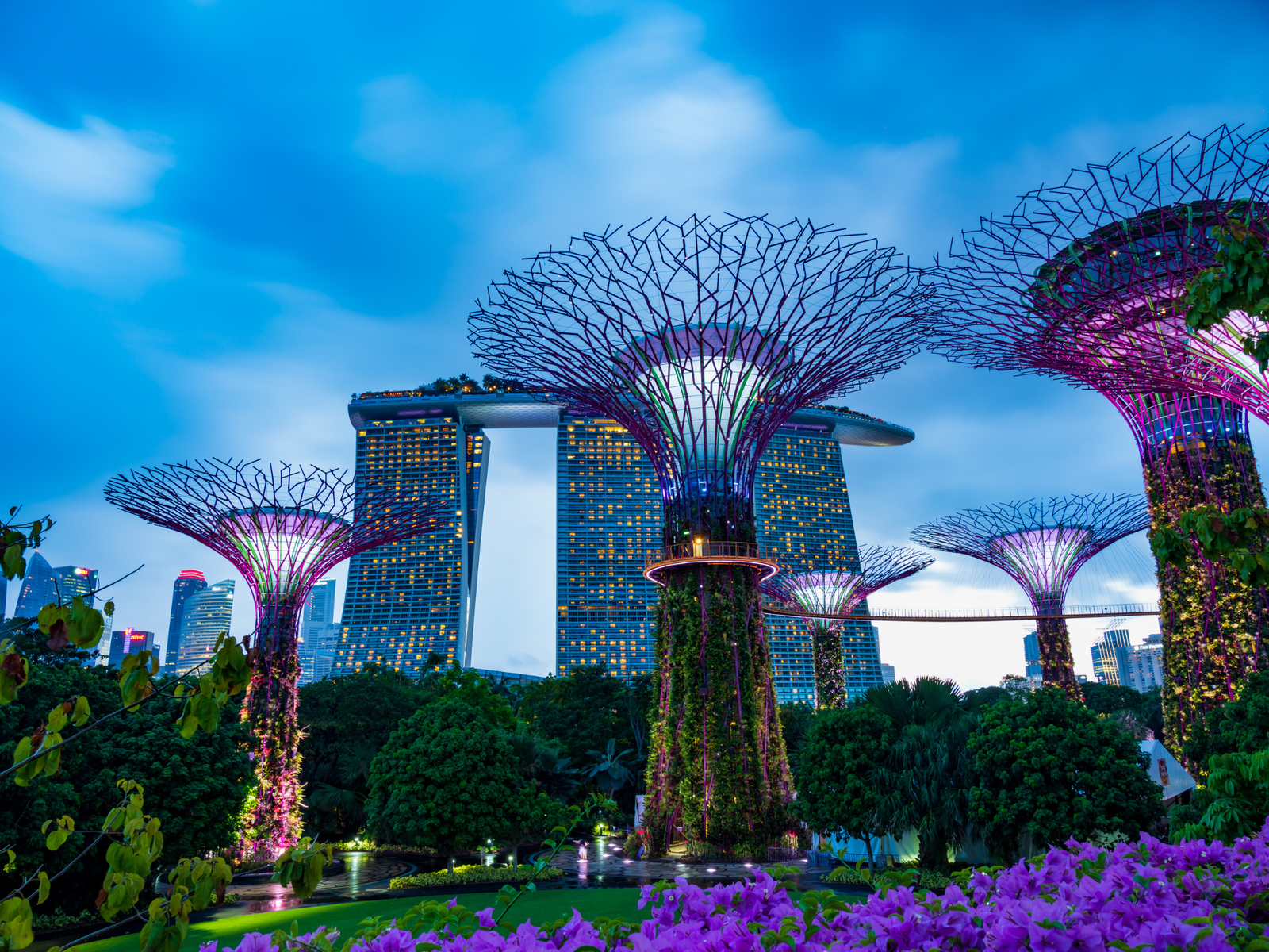 Singapore - Night Safari