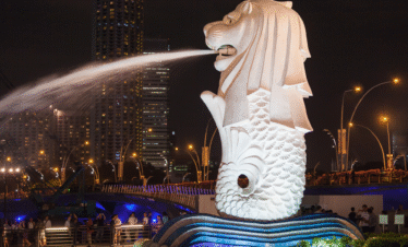 Singapore - Night Safari